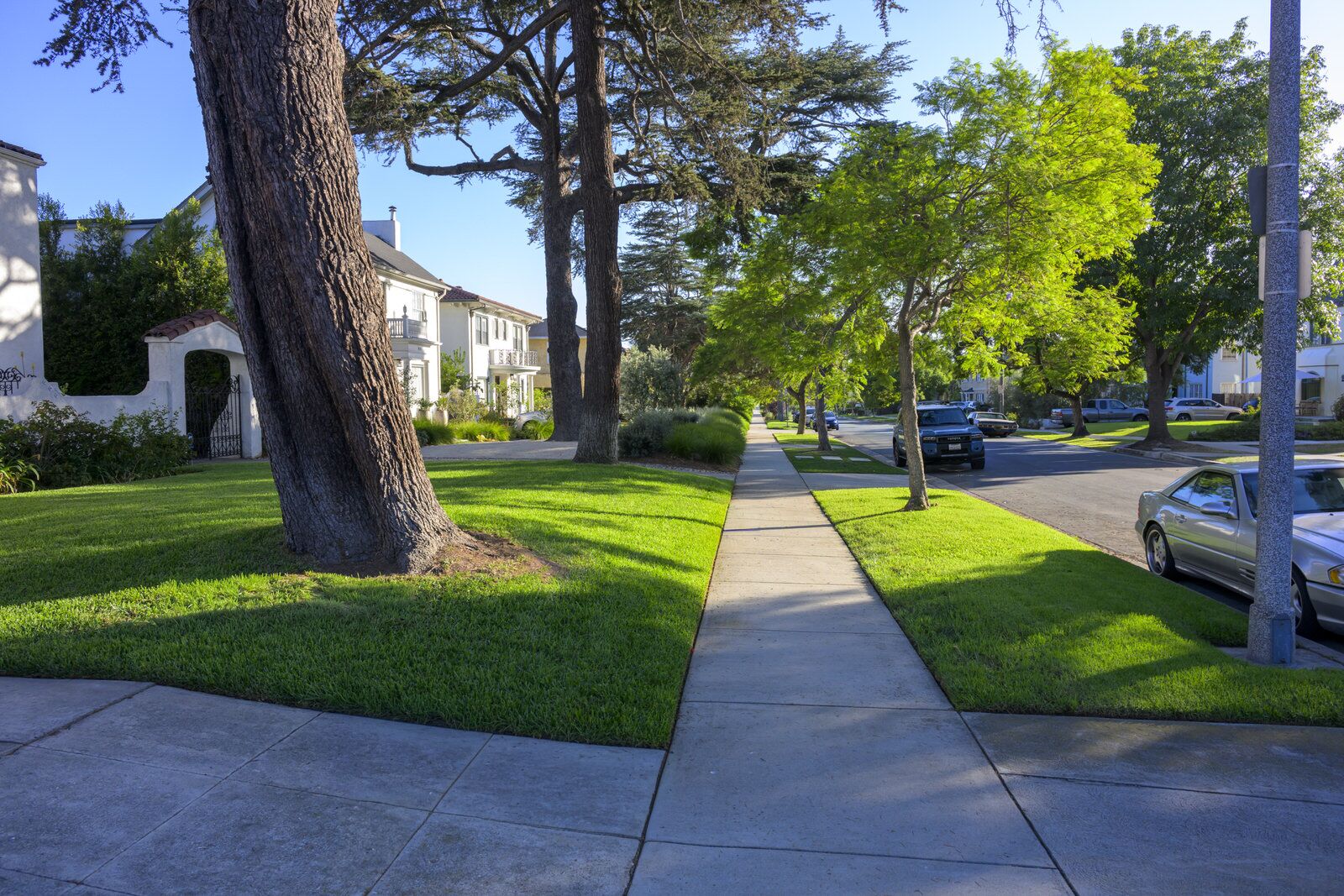 A tree-shaded Wellington Square sidewalk and street lined with lawns and historic homes in afternoon light