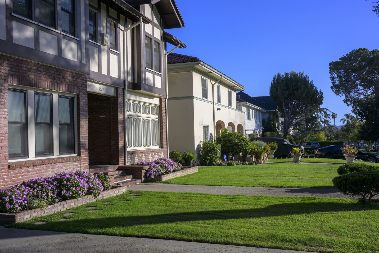 Historic Tudor and Mediterranean homes with flowering front gardens along a sunny Wellington Square street